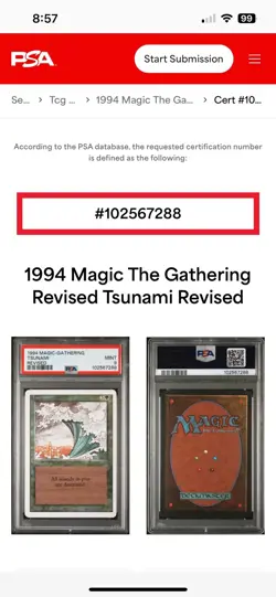 TSUNAMI Revised Edition 1994 Magic the Gathering MTG TCG PSA 9 MINT 🔥Low Pop🔥 - Image 3