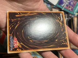 PP10-JP006 - Yugioh - Japanese - Elemental HERO Terra Firma - Secret B NM - Image 5