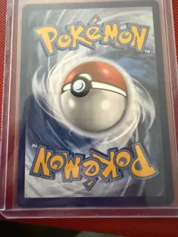 Pokemon TCG Zorua 075/064 Shrouded Fable Illustration Rare Holo Card - Image 2