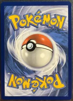 N's Zorua 189 - Black Star Promo Journey Together Pokemon TCG IR 2025 - NM Card - Image 2