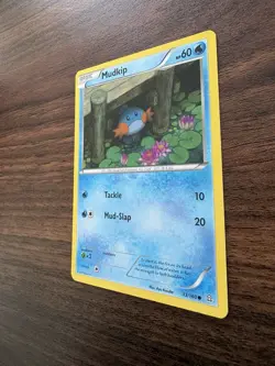 Mudkip 33/160 Primal Clash Regular Common Pokemon Card NM - Image 4