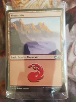 25x MtG Basic Land Bulk - Mountain x25 NM/M - mtgparty - Image 1