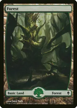 Forest 247 FULL ART Zendikar Light Play LP MTG Magic the Gathering DNA GAMES - Image 1