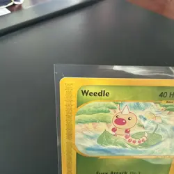 Pokemon TCG Weedle 114/144 Skyridge Non Holo 2003 - Image 5