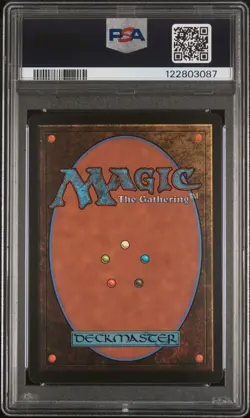 2025 MTG FINAL FANTASY CHARACTER BORDERLESS-SURGE FOIL VAAN, STREET THIEF PSA 10 - Image 2