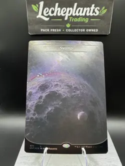 Swamp (493) (Borderless) (Galaxy Foil) Unfinity Foil - Image 1