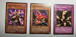 Yugioh Kycoo the Ghost Destroyer TP5-EN006 Unlimited Rare NM + 2 TP5 Commons - Image 1