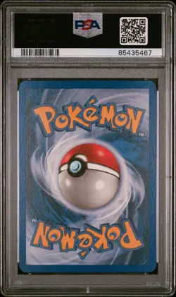 PSA 8 Ursaring Reverse Holo 110/144 Skyridge 2003 Pokemon Card - Image 2