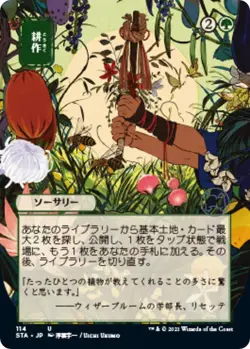 MTG Strixhaven: School of Mages - Cultivate (JP Alternate Art) - Image 1