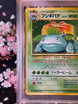 [PSA 7] Venusaur 003 1996 Base Set Old Back Holo Japanese Pokemon Card - Image 3