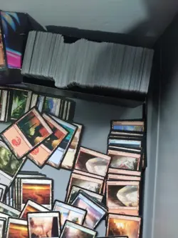 MTG 1250+ Basic Lands Only Card Mixed Lot Magic As Shown. 2.6kg. Not Recent Sets - Image 3