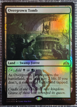 2018 MTG Guilds of Ravnica Overgrown Tomb #253/259 Foil NM - Image 1