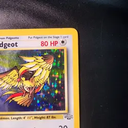 ​1999 Pokemon Jungle Pidgeot 8/64 Holo Rare - MP/HP - Vintage WOTC (101) - Image 4