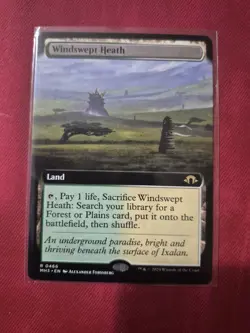 Windswept Heath (Extended Art) Modern Horizons 3 Regular - Image 1