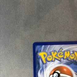 Pokemon TCG: Skarmory 209/191 Surging Sparks Illustration Rare [Near Mint] - Image 3
