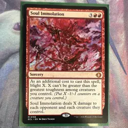Soul Immolation - ECL 0156 - NM - Magic: The Gathering - Image 1