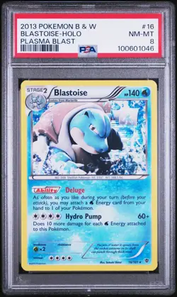 PSA 8 BLASTOISE HOLO #16 Pokemon B&W Plasma Blast 2013. POP 81 - Image 1