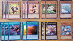 Yu-Gi-Oh! Baby Raccoon Deck Core Tantan, Nimble Momonga, Sea Koala Card Lot - Image 1