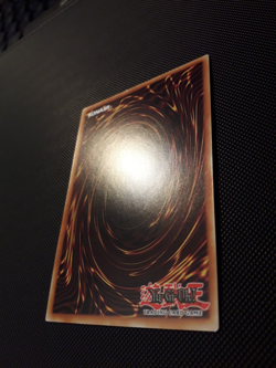 Yu-Gi-Oh! Donnerkonig Rai-Oh, PGLD-DE075, Gold Rare, 2. Auflage, Deutsch, NM - Image 5