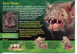 Weird N’ Wild Creatures Nightmares of Nature Card 21 # Vampire Bat # LC2 - Image 2