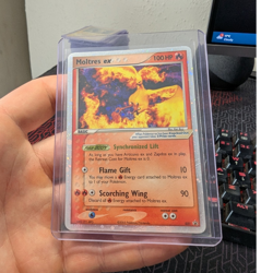 Moltres EX 031 Black Star PROMO, Nintendo 2005, revese Holo Rare MP - Image 1