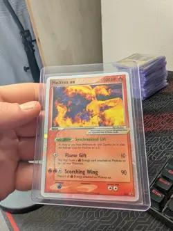 Moltres EX 031 Black Star PROMO, Nintendo 2005, revese Holo Rare MP - Image 2