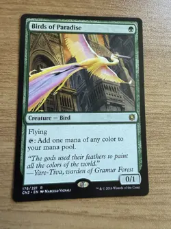 Birds of Paradise - MTG Conspiracy: Take the Crown LP - Image 1