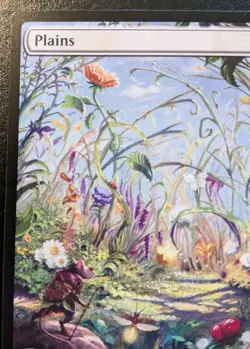 Plains (Summer Full Art) 0263 BLB Land Bloomburrow Magic: The Gathering - Image 2