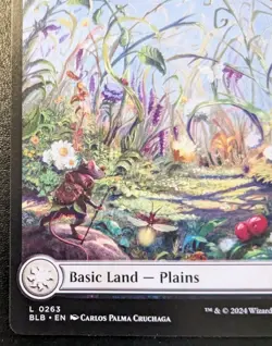 Plains (Summer Full Art) 0263 BLB Land Bloomburrow Magic: The Gathering - Image 4
