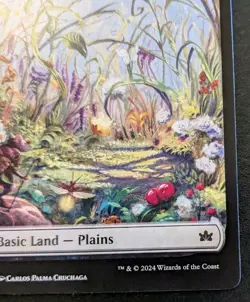 Plains (Summer Full Art) 0263 BLB Land Bloomburrow Magic: The Gathering - Image 5
