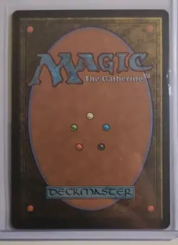 FOIL Sokka, Tenacious Tactician Showcase 0352 Avatar: The Last Airbender TLA MTG - Image 2