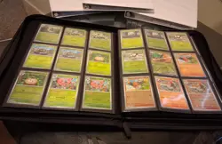 Pokemon Perfect Order Master Set! - Image 5