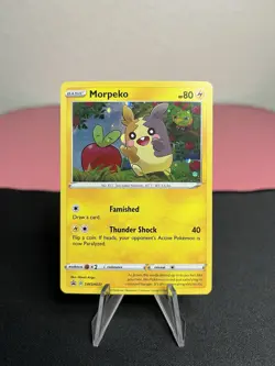 Morpeko SWSH031 Pokemon Sword & Shield Black Star Promo Card Holo - NM - Image 1