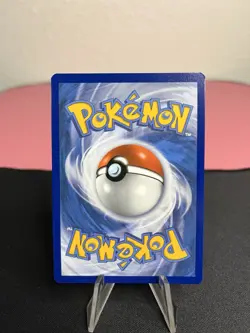 Morpeko SWSH031 Pokemon Sword & Shield Black Star Promo Card Holo - NM - Image 2