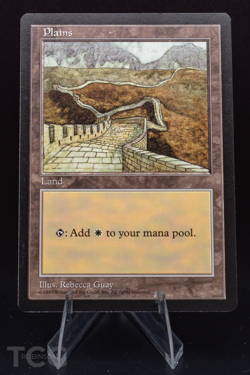 Plains - 1997 Magic the Gathering - Asia Pacific Land Program - Image 1