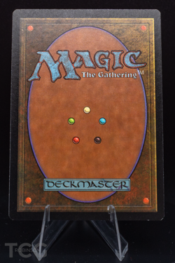 Plains - 1997 Magic the Gathering - Asia Pacific Land Program - Image 2