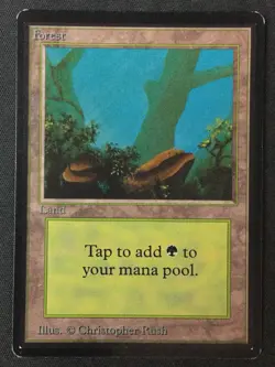 MTG Beta Edition Forest (A) LP - Image 1