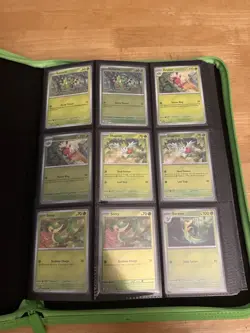 Pokemon Perfect Order Master Base Set 100% Complete Base Set including EX and RH - Image 1