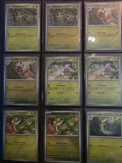 Pokemon Perfect Order Complete Master Base Set including all reverse holo and EX - Image 1