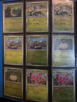 Pokemon Perfect Order Complete Master Base Set including all reverse holo and EX - Image 2