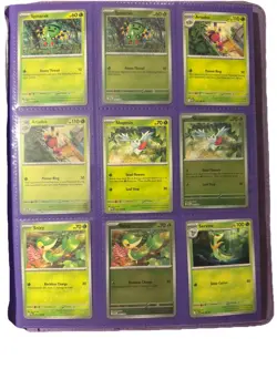 Pokemon Perfect Order Complete Master Set including holo/reverse- ex - Image 1