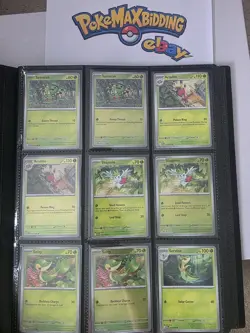 Pokemon Perfect Order Complete Master Base Set INCLUDING RH, EX and binder. - Image 1