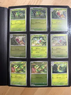 Pokemon Perfect Order Master Set Binder W/Holo,Reverse,EX, Many SIR, Promo NM - Image 3