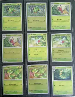 Pokemon Perfect Order Complete Master Base Set including all reverse holo and EX - Image 1
