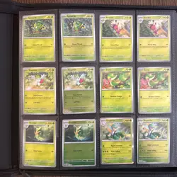 Pokemon Perfect Order Master Set - Image 2