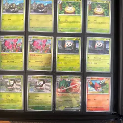 Pokemon Perfect Order Master Set - Image 3