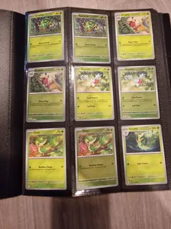 Pokemon Perfect Order Part Complete Master Set - Image 2