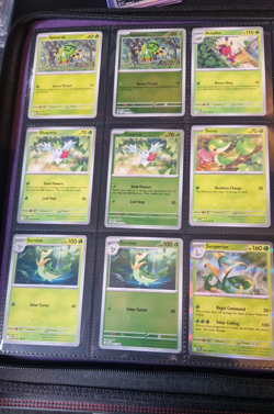 Pokemon Perfect Order Complete Master Base Set including all reverse holo and EX - Image 1