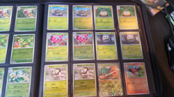 Pokemon Perfect Order Complete Master Base Set including all reverse holo and EX - Image 4