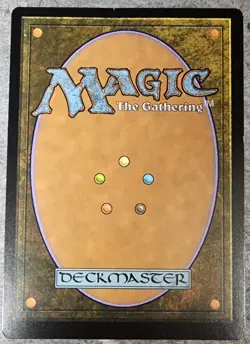 Prismatic Vista - Zendikar Rising Expeditions (ZNE) MTG - DMG - Image 2